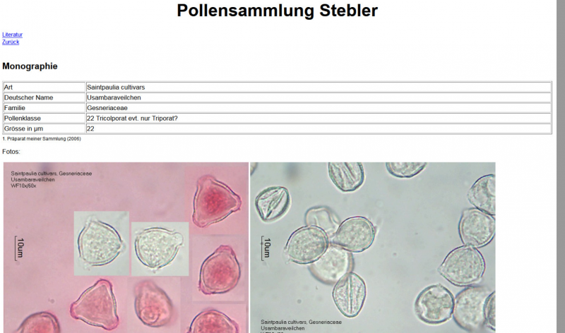 Datei:Pollen-Wiki 2006.png