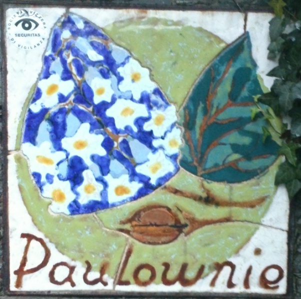 Datei:Paulownie Brione.jpg