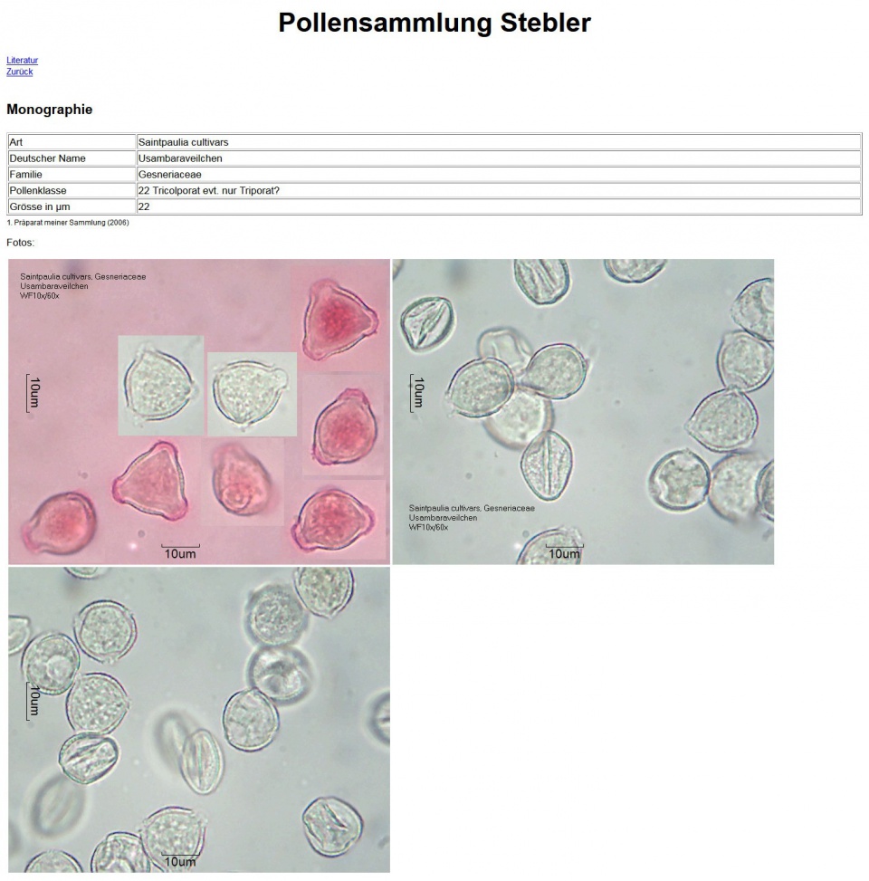 Pollen-Wiki:Über Pollen-Wiki – Pollen-Wiki